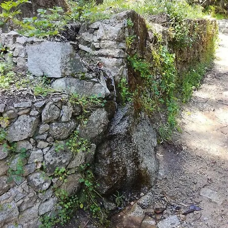 Moradia Dematos * אלבור